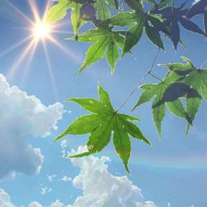 狗爷城中村找了一个150
