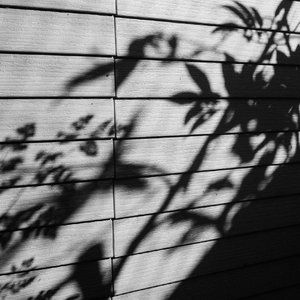 狗爷城中村找了一个150
