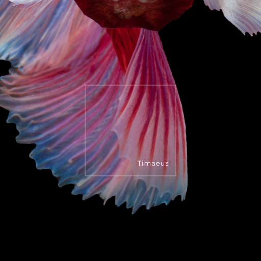 狗爷城中村找了一个150
